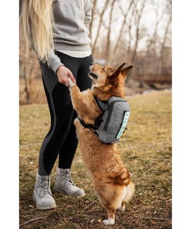 K9 Sport Sack Walk-On Medium Dog Carrier Backpack with Harness & Storage - Shark Skin Gray | 15-17 Neck, 15-21 Chest - Buy Online on GoSupps.com