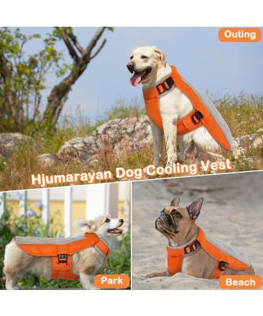 Hjumarayan Cooling Vest for Dogs - Breathable Summer Coat with D-Rings | Ideal Cooling Solution for Hot Days - Orange - Buy Online on GoSupps.com