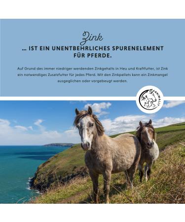 Annimally Zinc for Horses - High-Dose Zinc Pellets (2kg) with Black Cumin Zeolith Scot & Brewer's Yeast for Skin Hair & Hoof Care - International Shipping Available - Buy Online on GoSupps.com