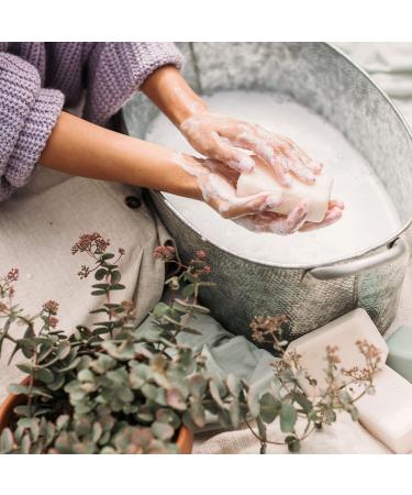 Beekman 1802 Goat Milk Soap Bar Fig Leaf 9 oz - Nourishing, Moisturizing & Hydrating Body Soap - Ideal for Sensitive Skin - Cruelty Free - Buy Online on GoSupps.com