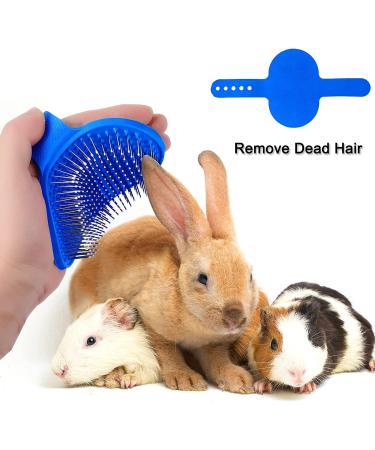 Bunny Grooming Kit: Rabbit Brush, Hair Remover, Nail Clipper, Comb & Bath Brush in Blue - Buy Online on GoSupps.com