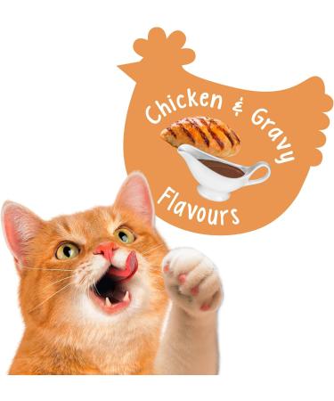 Friskies Party Mix Cat Treats - Ocean Crunch + Gravy-Licious Crunch (454 g each) Cat Treat + Cat Treats Gravy-Licious Crunch Ocean Crunch 454 g (Pack of 1) - Buy Online on GoSupps.com