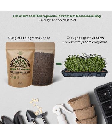 Non-GMO Heirloom Broccoli Sprout Seeds Kit - 1lb Bulk Resealable Bag for Microgreens. Ideal for Soil, Coconut Coir, Garden, Aerogarden & Hydroponic Systems - Buy Online on GoSupps.com