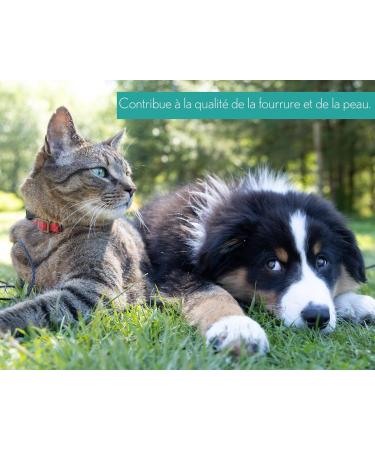 Ferme Olim ga Camelina Oil for Dogs and Cats 500ml Rich in polyunsaturated omega-3 Vitamin E. Pure and Cold Pressed. Joint Fur and Skin. Product of Canada. - Buy Online on GoSupps.com