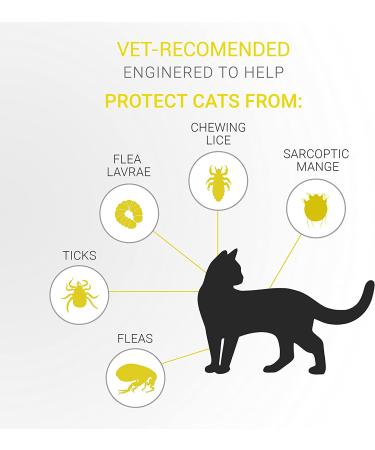 Sobaken Flea Collar for Cats - Natural Tick and Flea Prevention - One Size Fits All - 13 inch - 8 Month Protection | 1 Pack - Buy Online on GoSupps.com