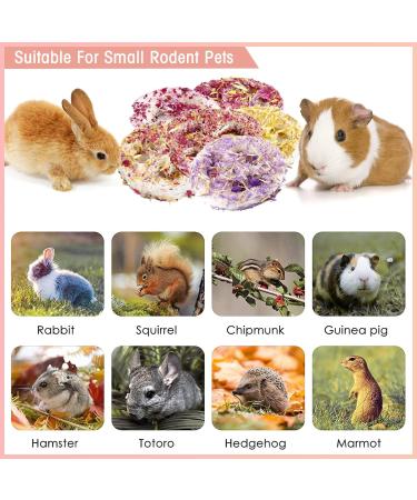 Buy Abiz 6-Pack Natural Luffa Rabbit Cake Toys for Guinea Pigs & Small Pets - Perfect for Hamsters Rabbits Rats & Chinchillas - Buy Online on GoSupps.com