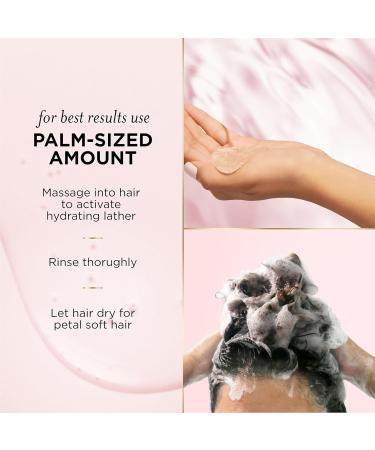 Pantene Nutrient Blends Sulfate Free Miracle Moisture Boost with Rose Water Shampoo 440 mL Unscented 440 ml (Pack of 1) - Buy Online on GoSupps.com