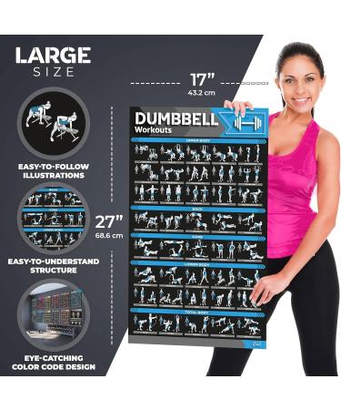 12-Pack Large Workout Poster Set - Home Gym Exercise Charts for Dumbbell, Yoga, Resistance Band, Kettlebell & More - Buy Online on GoSupps.com