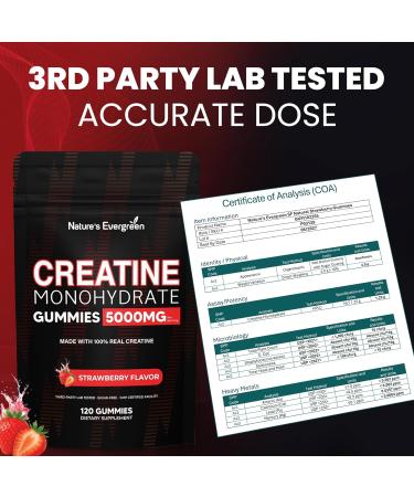 Creatine Monohydrate 5000mg Gummies, Pre-Workout 5g Creatine Gummy Supplement for Men & Women: Muscle Builder & Energy Boost, Sugar Free, Vegan, Strawberry Flavor, (120 Count) Made in USA - Buy Online on GoSupps.com
