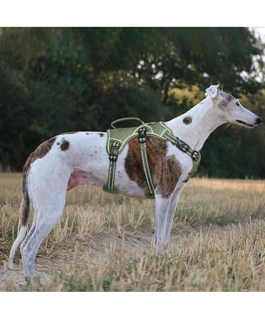 Buy Heele Dog Harness - Reflective Breakout Buckle Robust Handle Panic Clip - Perfect Fit in Green - Buy Online on GoSupps.com
