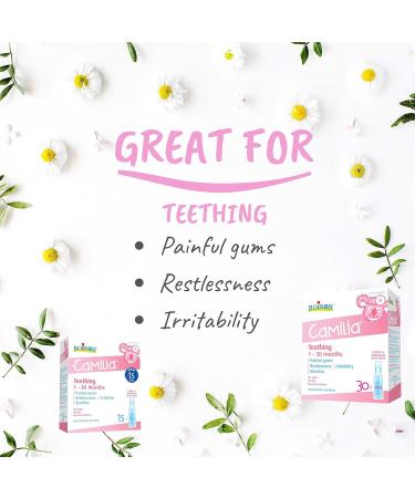 Boiron Camilia Baby Teething Relief Medicine 15 unit-doses (1 ml each). Camilia relieves pain restlessness irritability and diarrhea due to teething. Benzocaine-Free and Preservative-Free with Natural Active Ingredient No Sugar No Dye 15 Dose Teething Rel - Buy Online on GoSupps.com