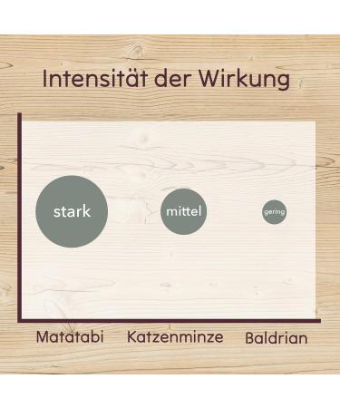 Leo Lwenkatz Matatabi Set - Dried Matatabi Fruits (30g) & 5 Catnip Sticks for Cats - Best for Cat Wellness & Play - Buy Online on GoSupps.com