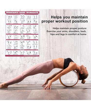 Saluaqui Fitness Workout Poster - Resistance Band Training & Muscle Anatomy for Home Gym | Effective All-Off Exercises with Clear Images - Buy Online on GoSupps.com
