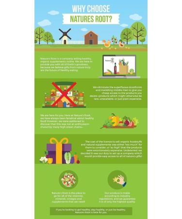 Natures Root Organic Triphala Powder - 500g, Pack of 1 | Superfoods for Digestion and Wellness - Buy Online on GoSupps.com