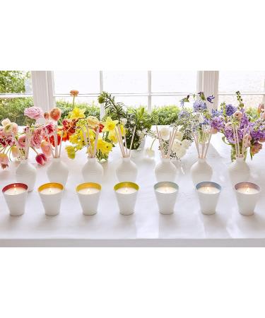 Strength Reed Diffuser - Long-Lasting Scent for Home & Office | International Shipping Available - Buy Online on GoSupps.com
