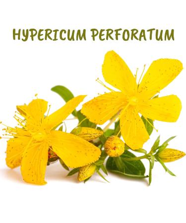 Boiron Hypericum perforatum 200CH Homeopathic Medicine 4 g 4 g (Pack of 1) - Buy Online on GoSupps.com