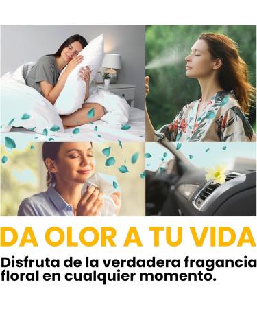  bleu & marine Bretania Bleu & Marine Bretania - Jasmine Floral Water Hydrosol 500ml | Skin Care Sunburn Burns Insect Bites | Homemade Cosmetics Fragrance | Acne-Prone Oily Areas - Buy Online on GoSupps.com