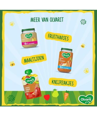 Nutricia Nederland BV Olvarit BIO Pear Apple Blueberry 6+ months squeeze bags 6x 90 grams - Buy Online on GoSupps.com