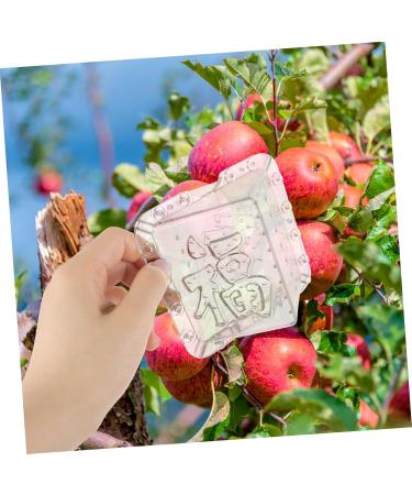 BESPORTBLE 2pcs Square Apple Molds Fruit Planting Molds Vegetable Stereotypes Plastic Mould Cover 1 - Buy Online on GoSupps.com