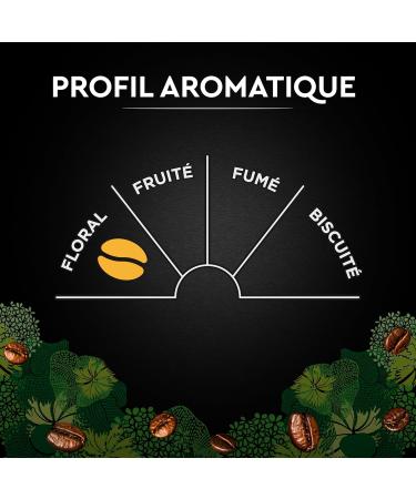 CARTE NOIRE - Carte Noire Ground Coffee "Organic Selection" - Organic Ground Coffee - Pure Arabica Ground Coffee - Pack of 6 x 500 g - Made in France - Buy Online on GoSupps.com