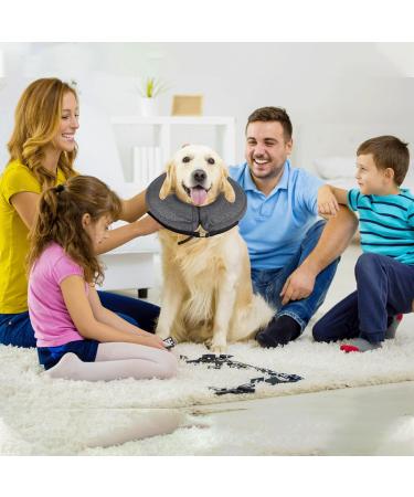 Shop Lollanda Inflatable Breaking Crane Dog Collar - Adjustable Soft Leak Protection for Surgery & Injury Recovery in Pets (M) - Buy Online on GoSupps.com