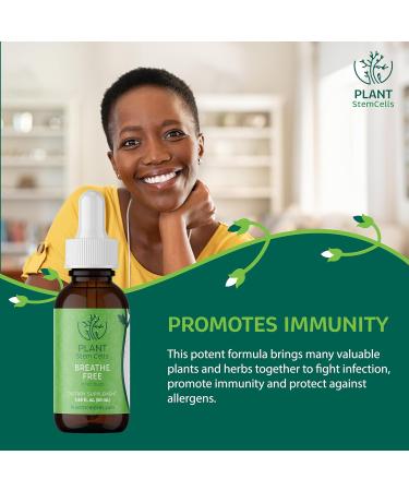 Plant Stem Cells Gemmotherapy Breathe Free | Embryonic Buds from Black Elderberry Black Poplar Horsetail & Hazel | Respiratory Support for Congestion Coughing & Mucus Reduction for Men & Women - Buy Online on GoSupps.com