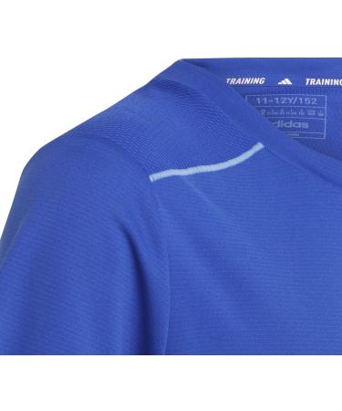 Buy adidas Boys B D4s Tee T-Shirt (1 Pack) 152 Azuluc/Fusazu/Azfume - International Shipping Available - Buy Online on GoSupps.com