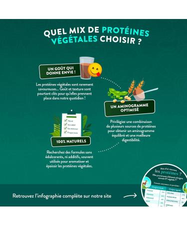 NUTRI & CO Prot ines Veg tales BIO - 4 Sources : Pois Riz Chia & Courge - Riche en BCAA - Vegan Protein 100% naturelle - Go t Naturel Cacao 500g - Sans dulcorant ni additif - Fabriqu en France 500 g (Lot de 1) - Buy Online on GoSupps.com