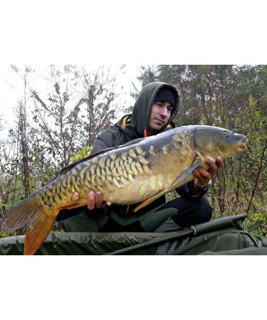 Tandem Baits Carp Food Boosted Hookers Carp Bait Carp Fishing Fishing Pop-Ups Carp Boilies Professional Carp Fishing Accessories 18mm 300g - Buy Online on GoSupps.com
