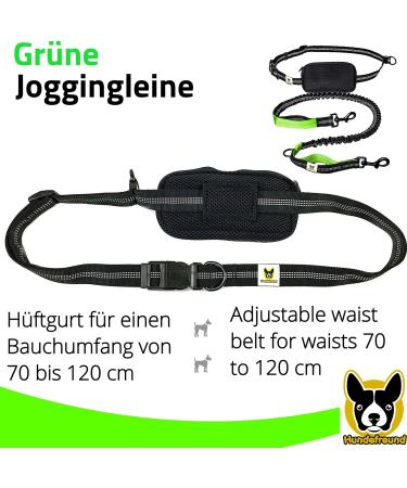 Elastic Reflective Jogging Leash - 120 cm with Adjustable Hip Strap & Bag for Hands-Free Walking Hiking & Running - Up to 200 cm Stretch - Buy Online on GoSupps.com