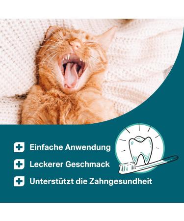 Medicat Dental Liquid Forte for Cats - Tartar Prevention & Fresh Breath - 150 ml | Daily Tooth Care Solutions - Buy Online on GoSupps.com