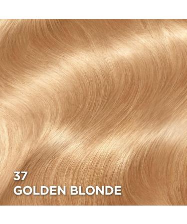 L'Oreal Paris Superior Preference Hair Dye Hair Color for Women 37 Golden Blonde Hair Dye Permanent Hair Color 100% Grey Coverage 9 weeks of Luminous Fade-Defying 1 Hair Dye Kit (Pack of 2) (Packaging May Vary) Golden Blonde Blonde - Buy Online on GoSupps.com