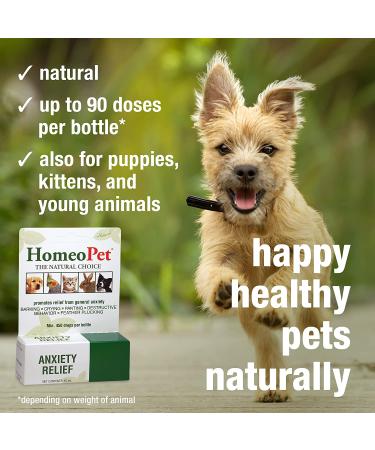 HomeoPet Anxiety Relief 15 ml | Natural Pet Calming Solution - Buy Online on GoSupps.com