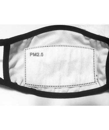 Stick On Mask Filters - PM 2.5 Activated Carbon Anti Haze (Five Layer) - 100 Replaceable Filters - Buy Online on GoSupps.com