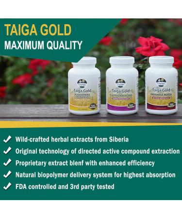 Wild Rhodiola Rosea Extract - Siberian Herbal Capsules for Natural Stress Relief Focus Mood Boost Energy & Endurance - Buy Online on GoSupps.com