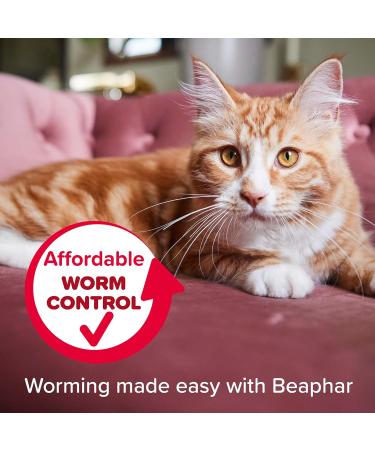 Beaphar | WORMclear Tablets for Cats | Kills All Common UK Intestinal Worms (Roundworms & Tapeworms) | Vet Strength Treatment | Meat-Flavoured | 2 Tablets (Pack of 1) 2 Tablets (Pack of 1) Single - Buy Online on GoSupps.com