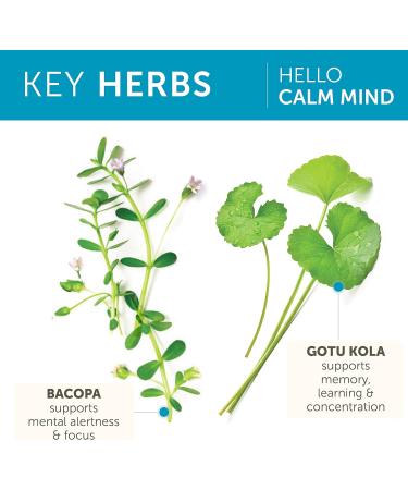 Himalaya Hello Calm Mind Herbal Supplement, with Bacopa, L-Theanine, Gotu Kola, Supports Concentration & Focus, Cognitive Function, Clear Thinking, Relaxation, Vegan, Gluten Free, 60 Capsules - Buy Online on GoSupps.com