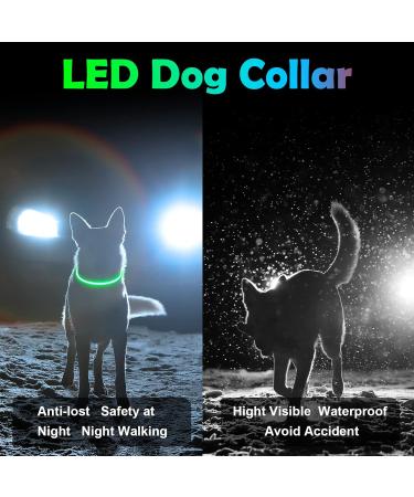 Auauy LED Light Neck Band Dog Collar - USB Rechargeable Adjustable Waterproof Luminous Safety Collar for Dogs & Cats - 5 Color Gradients - Buy Online on GoSupps.com