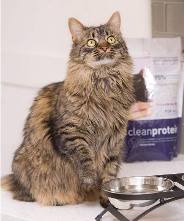 Dr. Elsey's Cleanprotein 2lb Chicken Cat Food - Grain Free, High Protein, Low Carb Formula - Buy Online on GoSupps.com