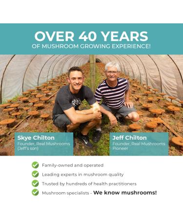 Defender Mushroom Supplements | Immune Support & Wellbeing | 90 Count - Buy Online on GoSupps.com