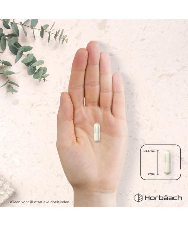 L Tyrosine 1000mg High Strength 120 Vegan Capsules Tyrosine Supplement Amino acid from Horbaach - Buy Online on GoSupps.com