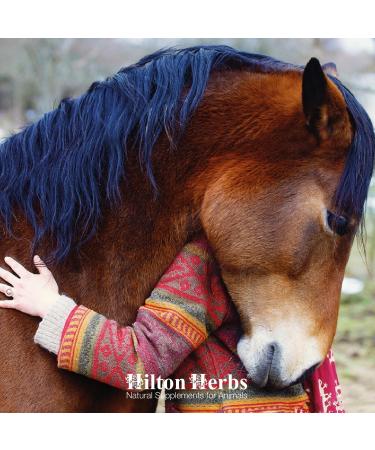 Hilton Herbs Calm and Collected Gold 1 Litre - Buy Online on GoSupps.com