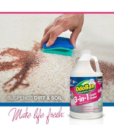 OdoBan 3-in-1 Carpet Cleaner - 128 Fl Oz Citrus | Effective Stain Removal & Odor Elimination - International Shipping Available - Buy Online on GoSupps.com