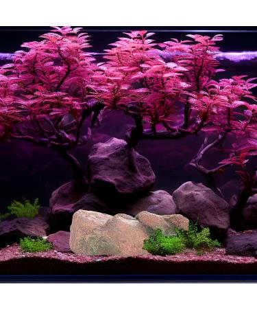 Ctpeng Aquarium Decoration Stone - Natural Look Decorative Rock & Hiding Place (25cm 13cm 7cm Resin) - Ideal Aquarium Accessories - Buy Online on GoSupps.com