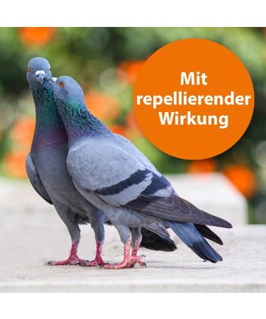 ARDAP Spot On - Natural Tick & Mite Protection for Ornamental Birds & Racing Pigeons | Up to 12 Weeks Long-Term Care - Buy Online on GoSupps.com