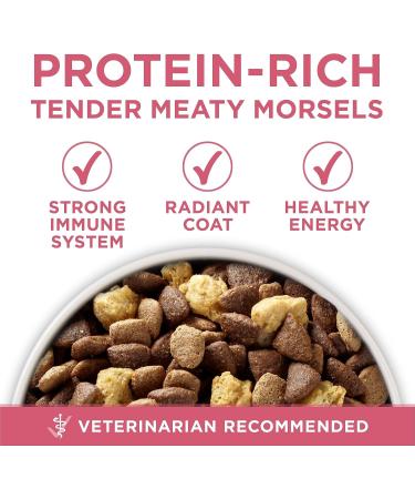 Purina ONE +Plus Dry Dog Food Digestive Health with Chicken - 9.5 kg Bag 9.5 kg (Pack of 1) - Buy Online on GoSupps.com