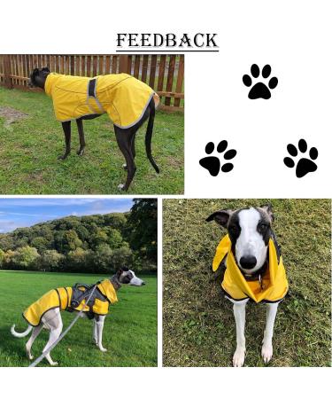 Greyhound Whippet Raincoat with Reflective Bar - Red, M Medium (56-58CM) | Waterproof Adjustable Vest for Stylish Greyhounds, Lurchers, and Whippets - Buy Online on GoSupps.com