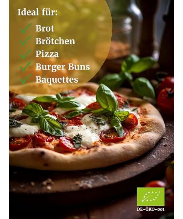 Bakery Spiegelhauer Bio Lievito Madre 200g - Fresh Organic Wheat Sourdough for Bread Rolls Pizza & Ciabatta | Yeast-Free Baking - Buy Online on GoSupps.com