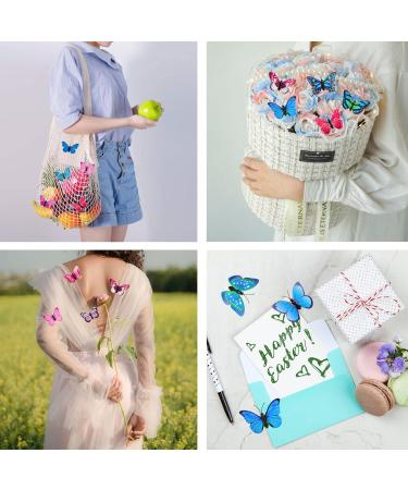 30 Pieces Butterfly Hair Clips 3D Butterfly Hair Clip Glitter Hair Clips Women Girls Cute Hair Pins Hair Clip Colourful Hair Clips Hair Pins Kids Hair Clips Accessory Set - Buy Online on GoSupps.com