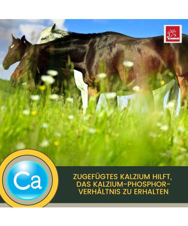 Soybean meal horse I Dietary supplement for musculature skeleton vitality I Amino acids horses Muscle muscle Soy protein I Vitamin BE complex Zinc Biotin Selenium horse 6 kg - Buy Online on GoSupps.com